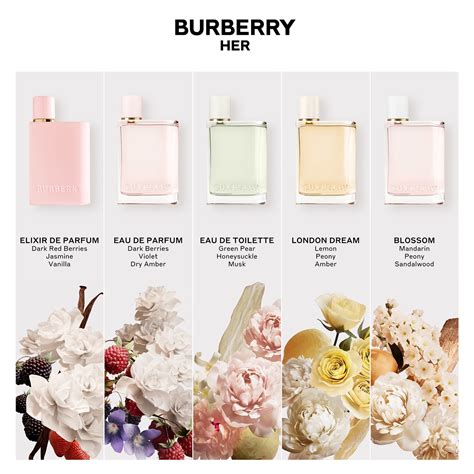 burberry her elixir noted.